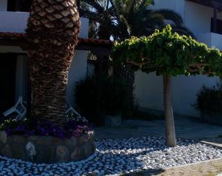 Stefanie Studios - Ägina Stadt - 8