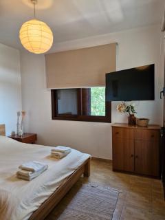 Anesis House - Stroumbi - 6