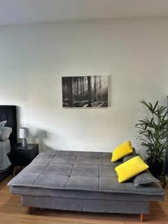 Hius 529, completely renovated - 9