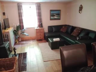 Chandler Ranch Llandovery Cynghordy - Cynghordy - 4