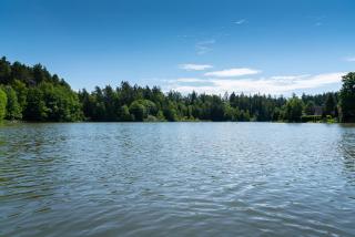 FOREST, lake, FIREFLIES, campfire - WHAT ELSE - 5