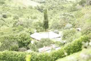 FINCA SAN JAVIER GREAT FARM WITH HORSES AND POOl - Sasaima - 9