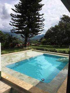 FINCA SAN JAVIER GREAT FARM WITH HORSES AND POOl - Sasaima - 7