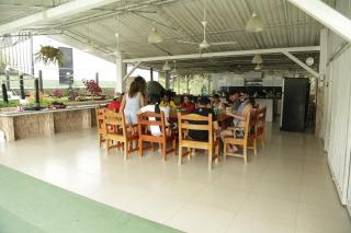 FINCA SAN JAVIER GREAT FARM WITH HORSES AND POOl - Sasaima - 3
