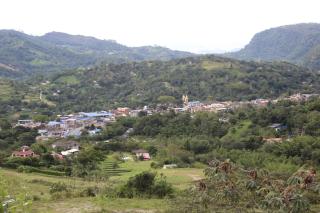 FINCA SAN JAVIER GREAT FARM WITH HORSES AND POOl - Sasaima - 1