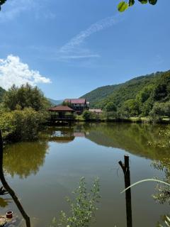 Vila Roca Hotel and SPA - Valea Drăganului - 3