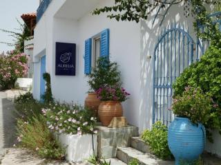 1-bedroom apartment - Finikounta - 4