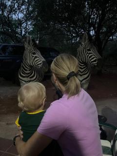 Tranquil Bush Cottage at Kruger - Marloth Park - 2
