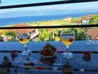 Taku Villa Wonderful view of Lake Ohrid - 0