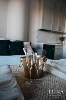 LUNA Apartment Hanza Tower Szczecin - Basen, Sauna & Spa - Szczecin - 4