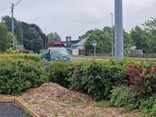 Castle View - Roscommon - 1