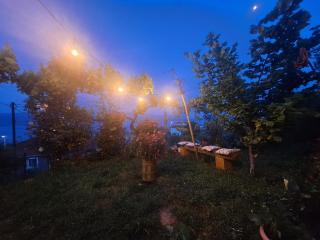 Taku Villa Wonderful view of Lake Ohrid - Udënisht - 4