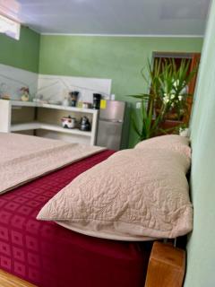 Pura Vida Estudio - 1