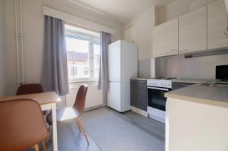 Vuokrakaista Premium Studio City Center 44m2 1-3person Free parking - 7