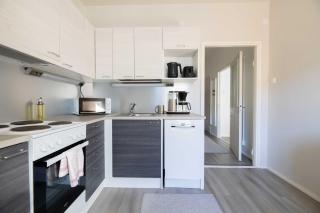 Vuokrakaista Premium Studio City Center 44m2 1-3person Free parking - 5