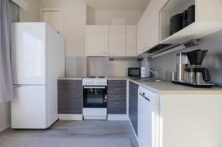 Vuokrakaista Premium Studio City Center 44m2 1-3person Free parking - 4