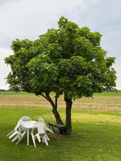 Ca' Rosin Meolo - Camera tra relax e privacy - Meolo - 1