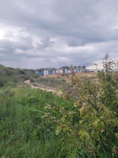 Detached Cottage Yards from the Beach - Chapel St. Leonards - 5