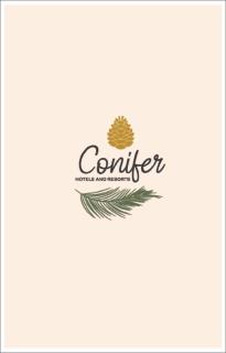 Conifer River side Hotel and Resort Kaghan - Mahāndri - 3