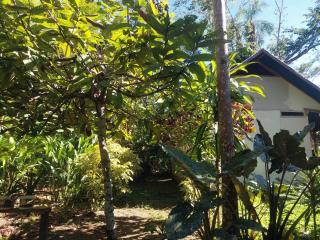 Musas Garden Lodge Tambopata - 1