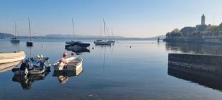 Il Grifo Guest House - Lesa - 1