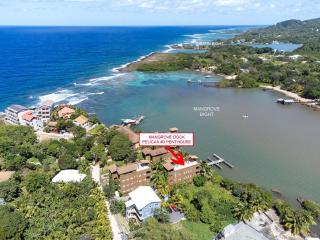 Pelican Penthouse -Mangrove Dock home - Roatán - 0