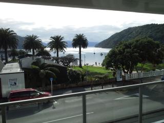 Pohutukawa Apartment - Picton - 7
