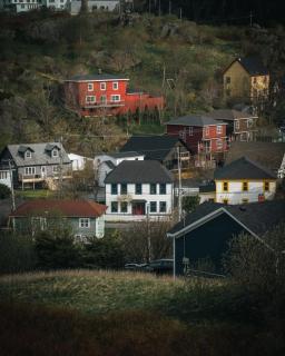 Mallard Inn - St. John's - 3