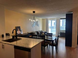 Beautiful and Cosy Downtown Condo with free underground parking - Montréal - 9