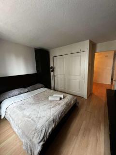 Beautiful and Cosy Downtown Condo with free underground parking - Montréal - 5
