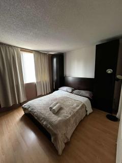 Beautiful and Cosy Downtown Condo with free underground parking - Montréal - 4