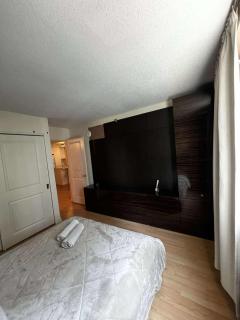 Beautiful and Cosy Downtown Condo with free underground parking - Montréal - 3