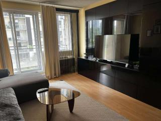Beautiful and Cosy Downtown Condo with free underground parking - Montréal - 8