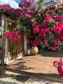 2 bedrooms Former Tannery Jalatlaco Neighborhood - Oaxaca City - 2