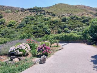 Stone House near Achla River - Andros - 0