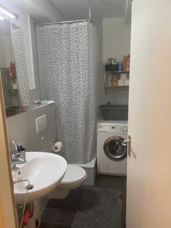 Komfortables 1-Zimmer-Appartement - Niederdorla - 0