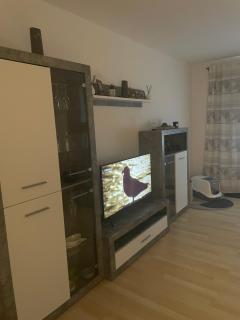 Komfortables 1-Zimmer-Appartement - Niederdorla - 4