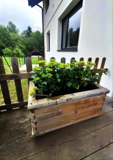 apartmán U JANY Lipno nad Vltavou Lipenská louka - 8