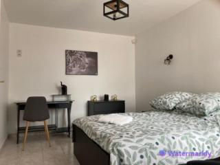 Gîte Les Chalottières - 12 pers avec bain nordique - Changé - 9