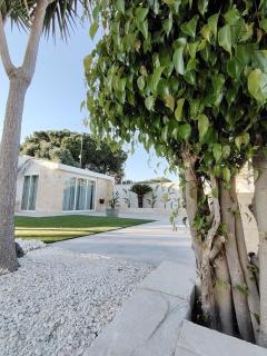 Aramara apartment - Terrauzza - 7