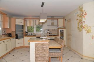 Villa dans pinède du Luberon - Cavaillon - 1