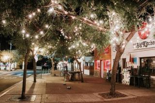 Stylish Studio with Parking, Near the Zoo, Airport, Downtown, Balboa Park - San Diego - 2