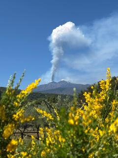 Liborio Homes - Catania - 9