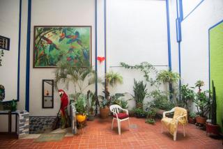 Antigua Hostal - 8