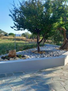 Τhimios Home - Kalamitsa - 7