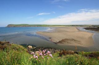 Three bedroom central Newport, Pembrokeshire - Newport - 0