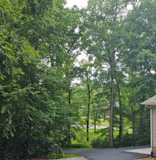 Oakwood Oasis-Studio w Laundry & Kitchen - Decatur - 8