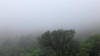 大梅石創生共享家士兵館 - - 2