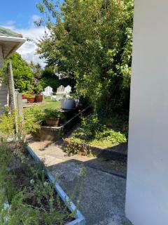 Ngamotu Gem - New Plymouth - 7