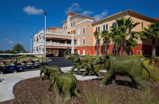 Westgate Town Center Resort - 7